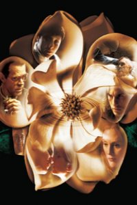 Magnolia